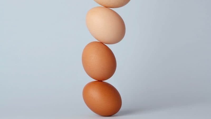 brown and white eggs