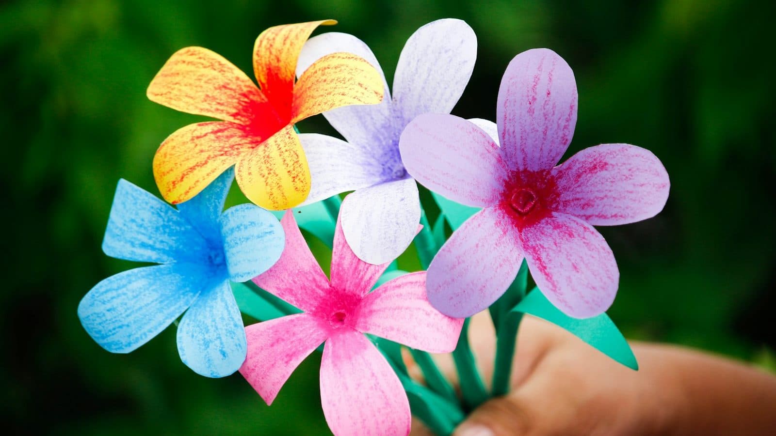 blue and orange flower in bloom during daytime